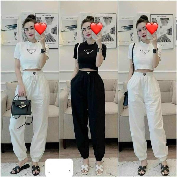 SÉT BỘ THUN 7031, Tay ngắn, Ân Noisy.