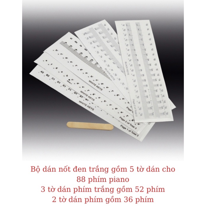 Sticker dán nốt Piano 88 phím đen trắng, Miếng dán decal cho Keyboard và Piano Musical Web