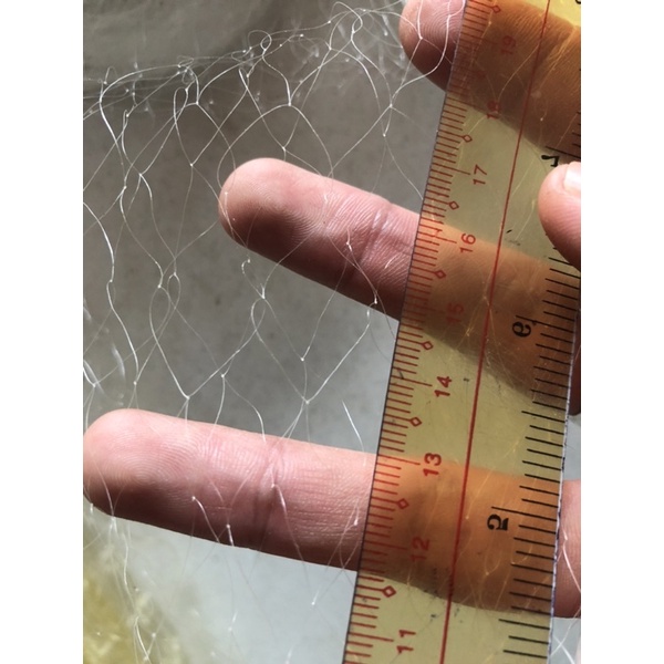 Lưới đánh cá 1 màng cao 8 tấc