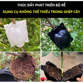 Bầu Chiết Cành 5 - 8 - 12 cm , Hộp Chiết Cành Nhân Giống, Bầu Nhựa Tạo Rễ Ươm Giống Cây Trồng