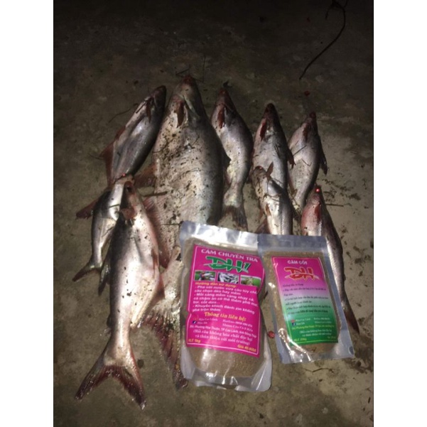 Combo Cám chuyên Tra ĐH1 + cám cốt ĐH