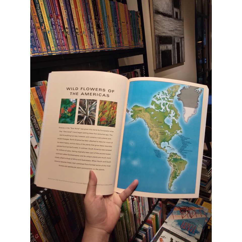 Sách - Wild Flowers And Flora