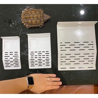 Máng Leo Dành Cho Rùa Nước