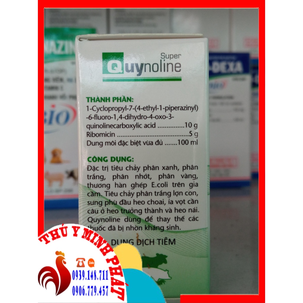 Quynoline Super (20ml) ecoli thương hàn sưng phù mặt
