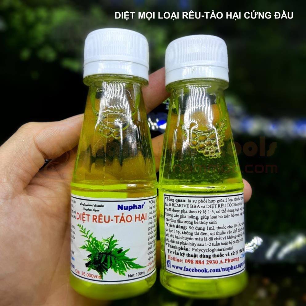 ￼Diệt Rêu Tảo Hại Nuphar | Loại Bỏ Toàn Bộ Mọi Loại Rêu Hại Cứng Đầu Trong Bể Thuỷ Sinh