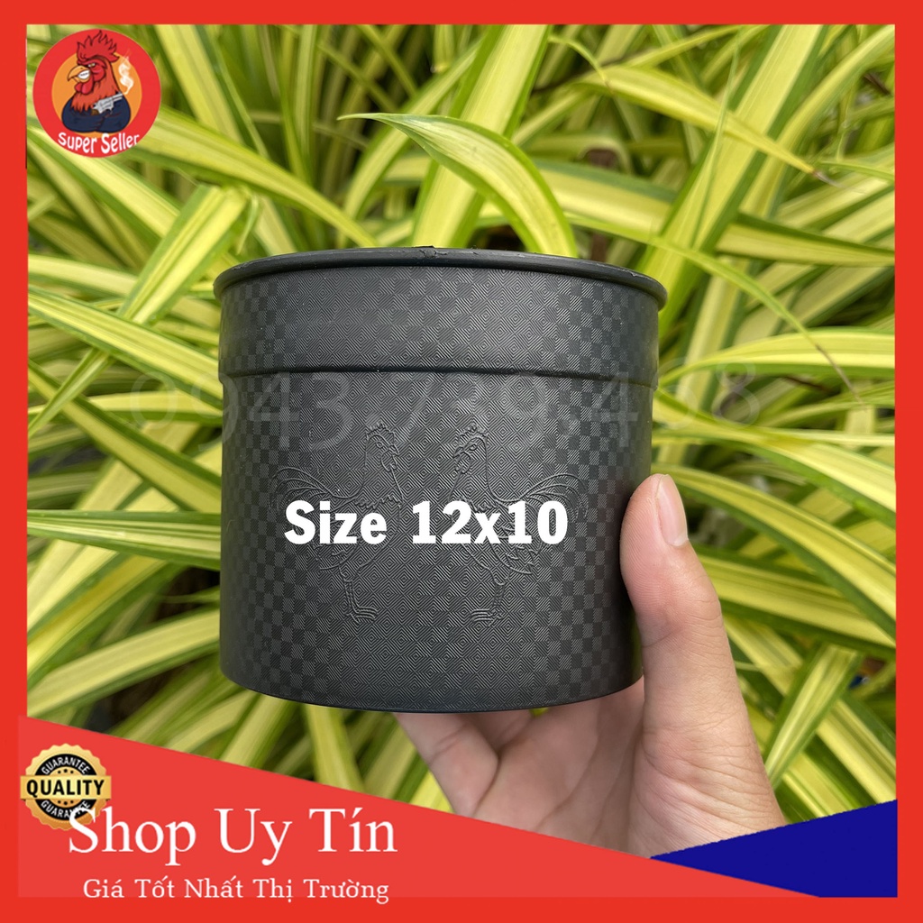 Cống Nhựa Dẻo Vân Carbon Cao Cấp Cho Gà Đá