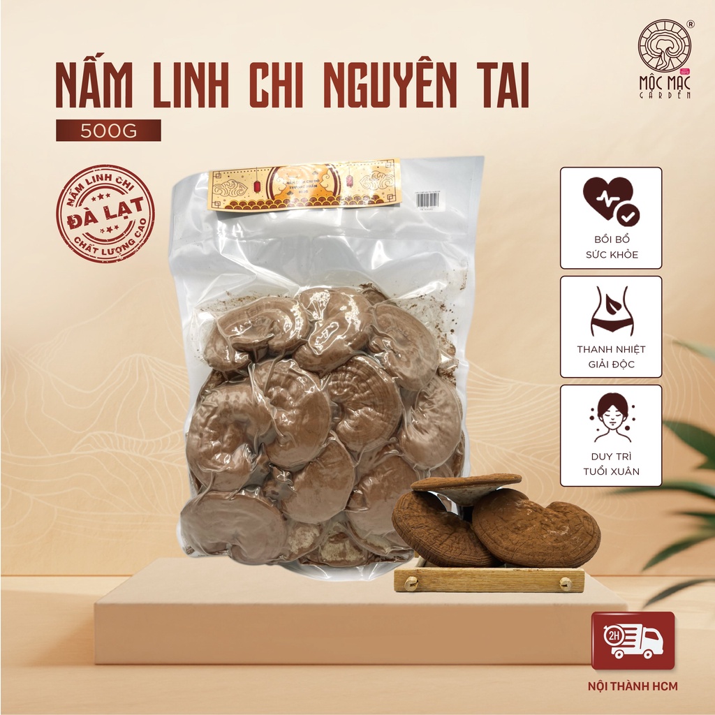 Nấm Linh Chi đỏ MMG Còn bào tử thượng hạng dạng túi