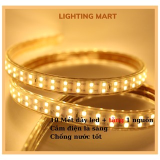 COMBO 10M ĐÈN LED DÂY ĐÔI 2835 HAI HÀNG LED CỰC SÁNG