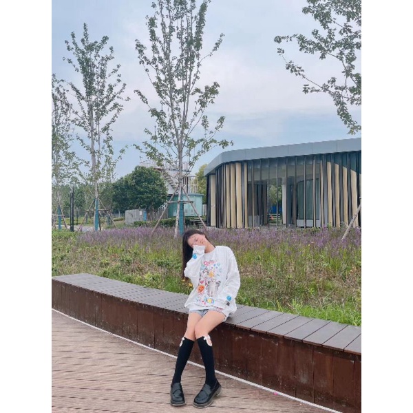 Áo sweater mèo Daiwing