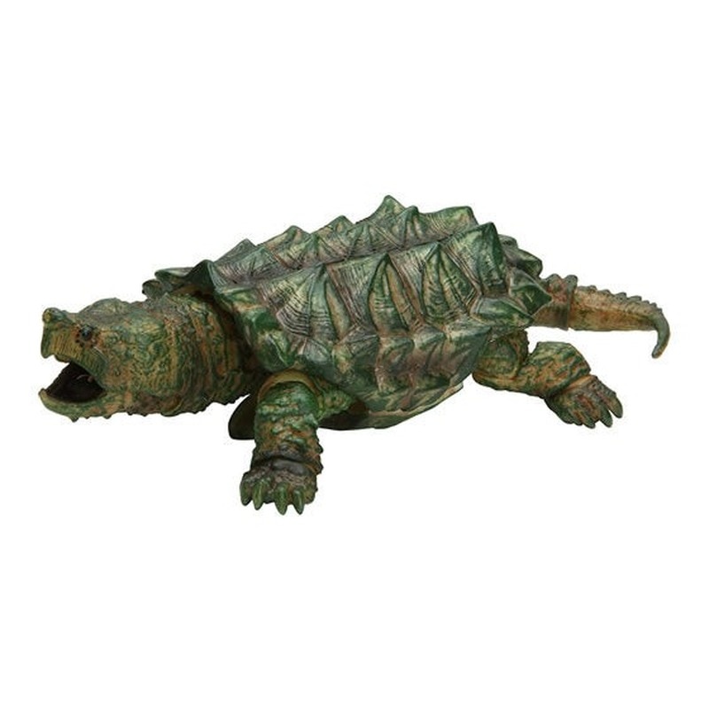 Mô hình trứng Gashapon rùa cạn - rùa biển - BANDAI