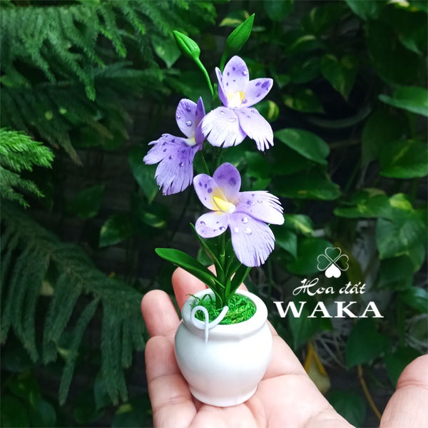 Hoa Đất Sét Mini- Lan Vũ Nữ