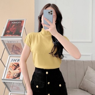 Áo len tăm cổ 3 phân - áo len nữ cộc tay nhiều màu hàn quốc begie a1507