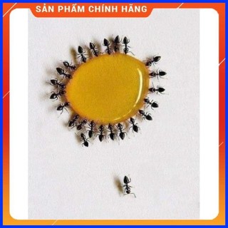 ⚡sale⚡ thuốc diệt kiến,gián,mối__ thuốc diệt côn trùng
