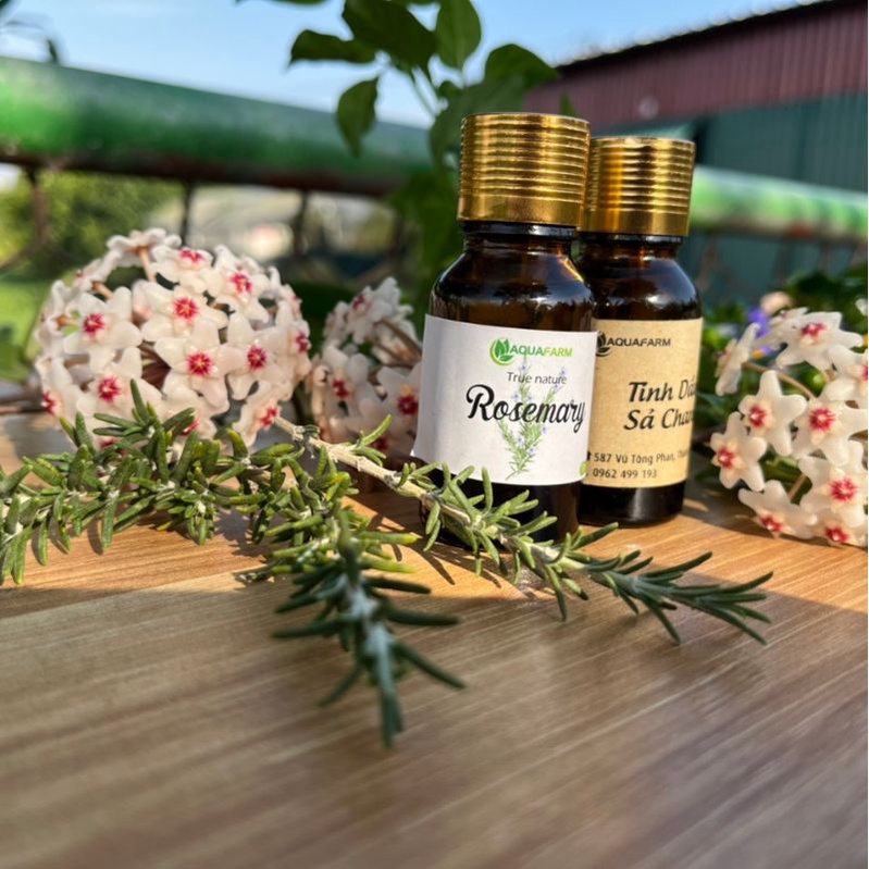 Tinh dầu sả chanh nguyên chất xông phòng, đuổi muỗi, sát khuẩn