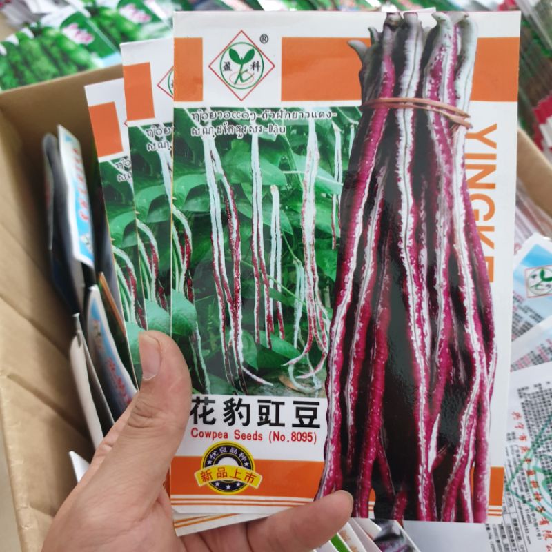 Hạt giống đậu đũa sọc. Hàng Trung Quốc. 10 gram/gói. Tỉ lệ nảy mầm cao