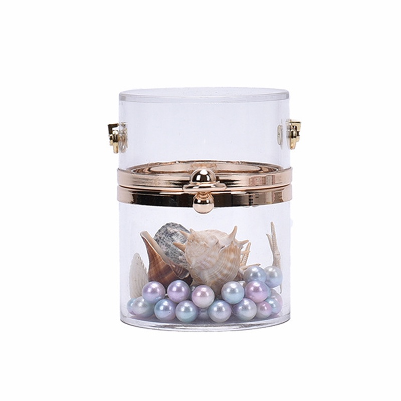 Túi đeo chéo IELGY mini trong suốt đính ngọc trai thời trang sang trọng cho nữ