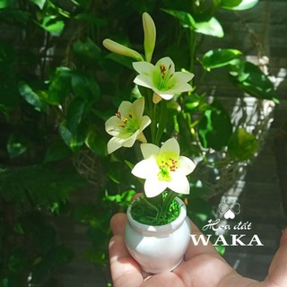 Hoa Đất Sét Mini- Chậu Ly Mini 12cm