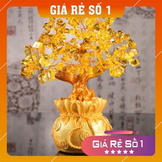 Cây tài lộc ❤️𝑭𝒓𝒆𝒆𝒔𝒉𝒊𝒑❤️ cây tiền vàng tài lộc đá thạch anh 18.5cm