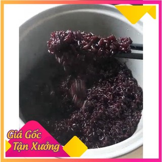 1kg Gạo lứt đen Sóc Trăng [Loại 1] (shop_giahuong)
