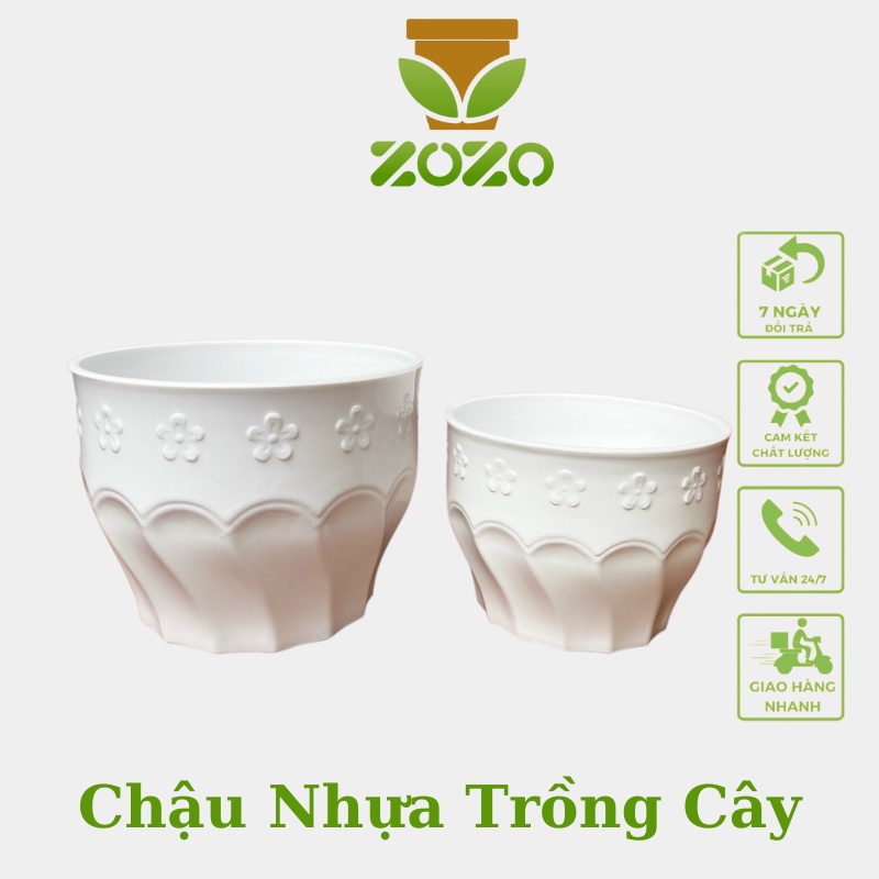Chậu nhựa ZOZO xoắn bông mai trồng cây hoa sen đá mini cực xinh kèm đĩa lót