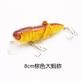 Mồi châu chấu giả câu cá - mồi côn trùng lure