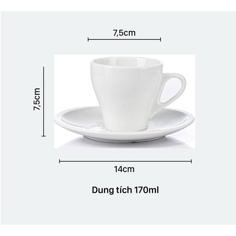 Combo 10 cốc cafe 170ml