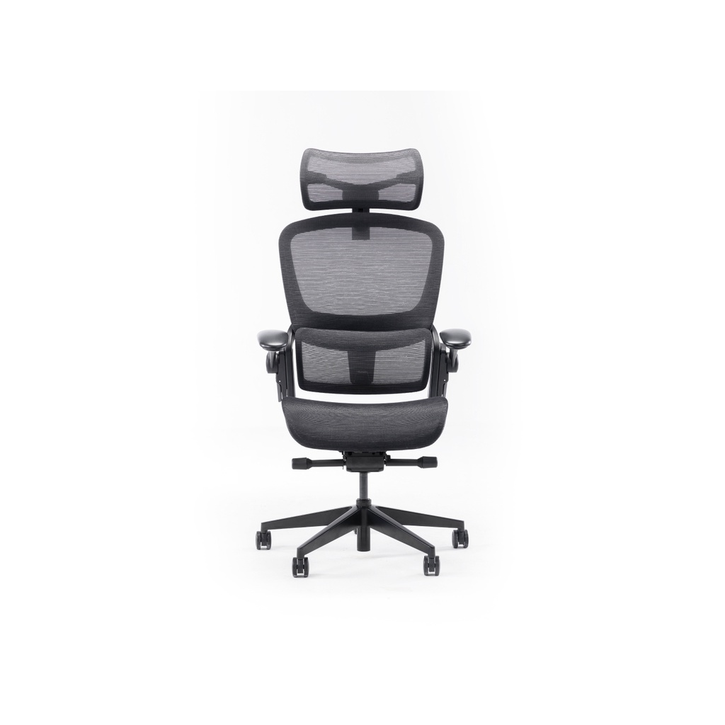 Mua Ghế Lưới Xoay Công Thái Học Ergonomic Epione Easy Chair V2 2.0 Bản mới chân nhôm sơn tĩnh