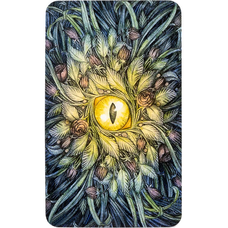 Bộ Bài Soul Cats Tarot  - Bài Gốc Authentic Chính Hãng 100%