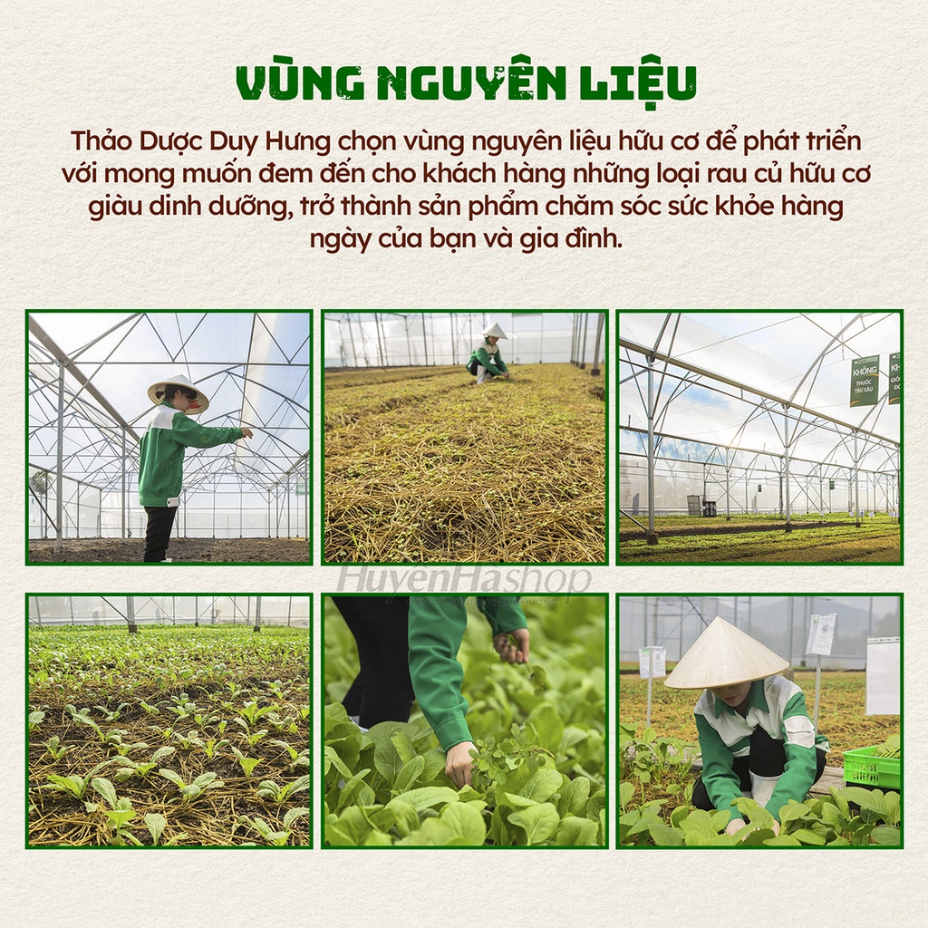 Bột Lá Gai Khô Nguyên Chất 100% - Bột Làm Bánh Ít Lá Gai Tạo Màu Đen Tự Nhiên - Huyền Hà Shop