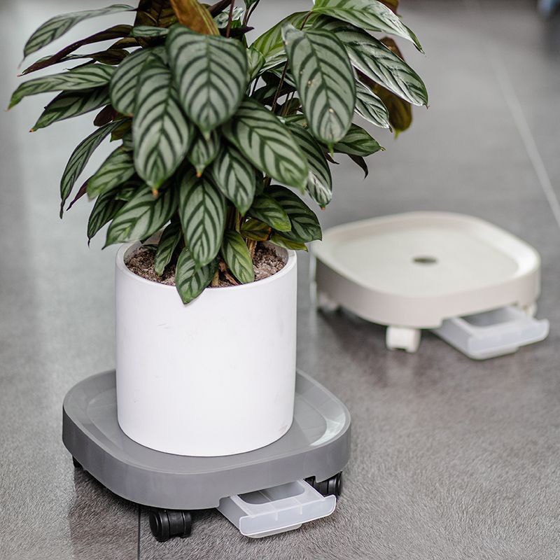 Đế Lót Chậu Cây Có Bánh Xe-Đế lót chậu cây Chậu Hoa có bánh xe-Đế kê chậu hoa cây cảnh có khay hứng nước thông minh.
