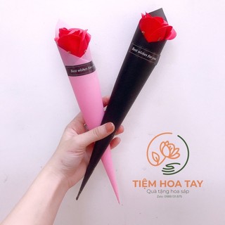Combo 10 hoa sáp ốc quế