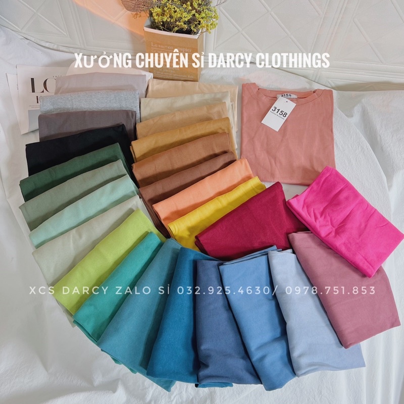 áo thun trơn 3158 ✨ FREESHIP ✨ áo thun cotton unisex nam nữ