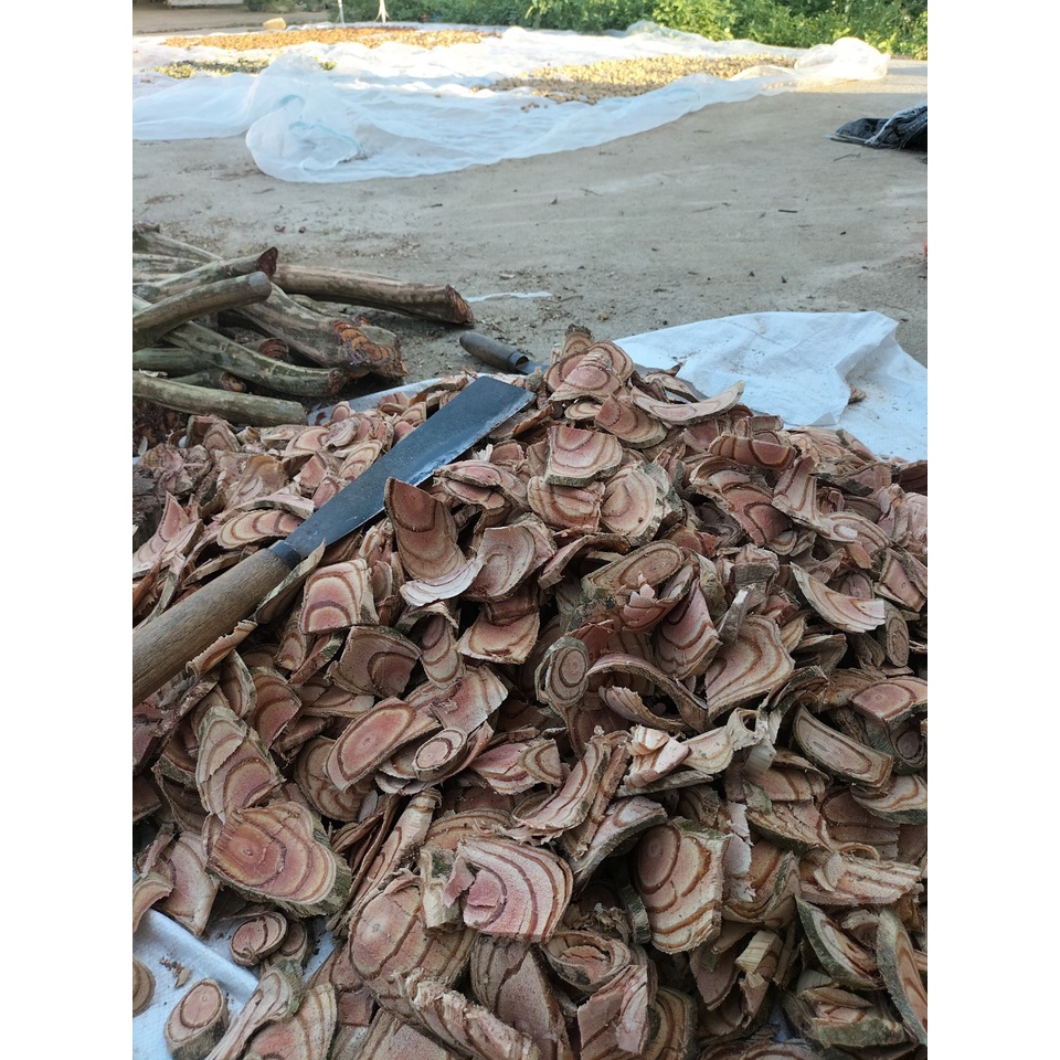 1kg Cỏ Máu Khô: Bổ máu, ăn ngon, ngủ ngon, kích thích tiêu hóa, Tăng cân tự nhiên.