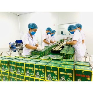 Tinh dầu ngải cứu việt 200ml