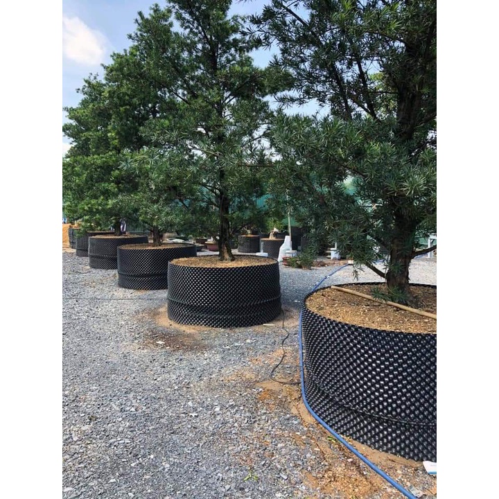 Bầu ươm V6 40cm . Bầu ươm thông minh VietGrow V6. Tặng kèm ốc, vít