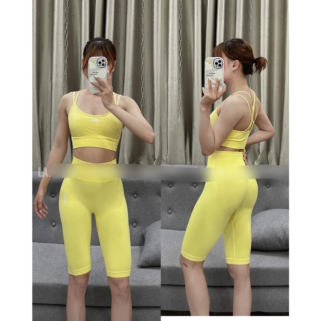 Set bộ đùi thể thao tập gym yoga nữ dệt kim cao cấp, áo bra kèm mút quần đùi ngố chun mông cạp cao Bin Sport BN086
