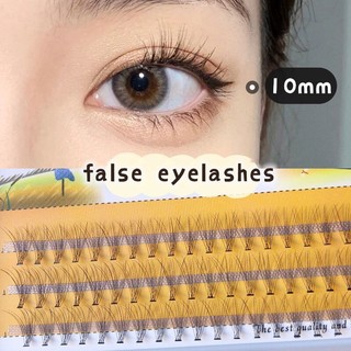 Mi giả tự nhiên dạng chùm nesura hàn quốc 10d/0.1/c, lông mi giả chùm tự nối độ dày 0.1, độ dài 9-12mm