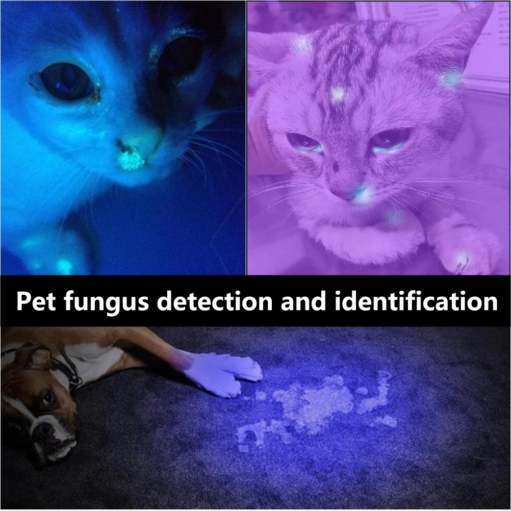 Đèn Pin AloneFire SV005 UV 10W 365NM LED Sạc USB Tiện Dụng Chất Lượng Cao