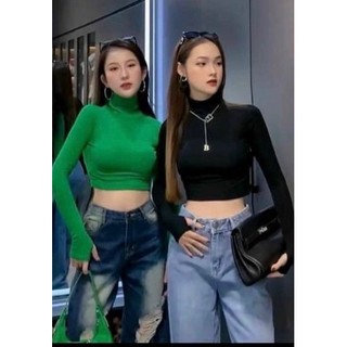 Áo thun nữ kiểu cổ lọ chất vải thun ôm body cá tính tay dài form croptop gợi cảm Free Size dưới 54kg