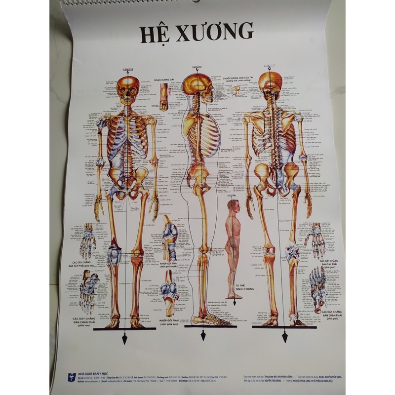 bộ tranh giải phẫu cơ thể người Nhà Xuất Bản Y Học