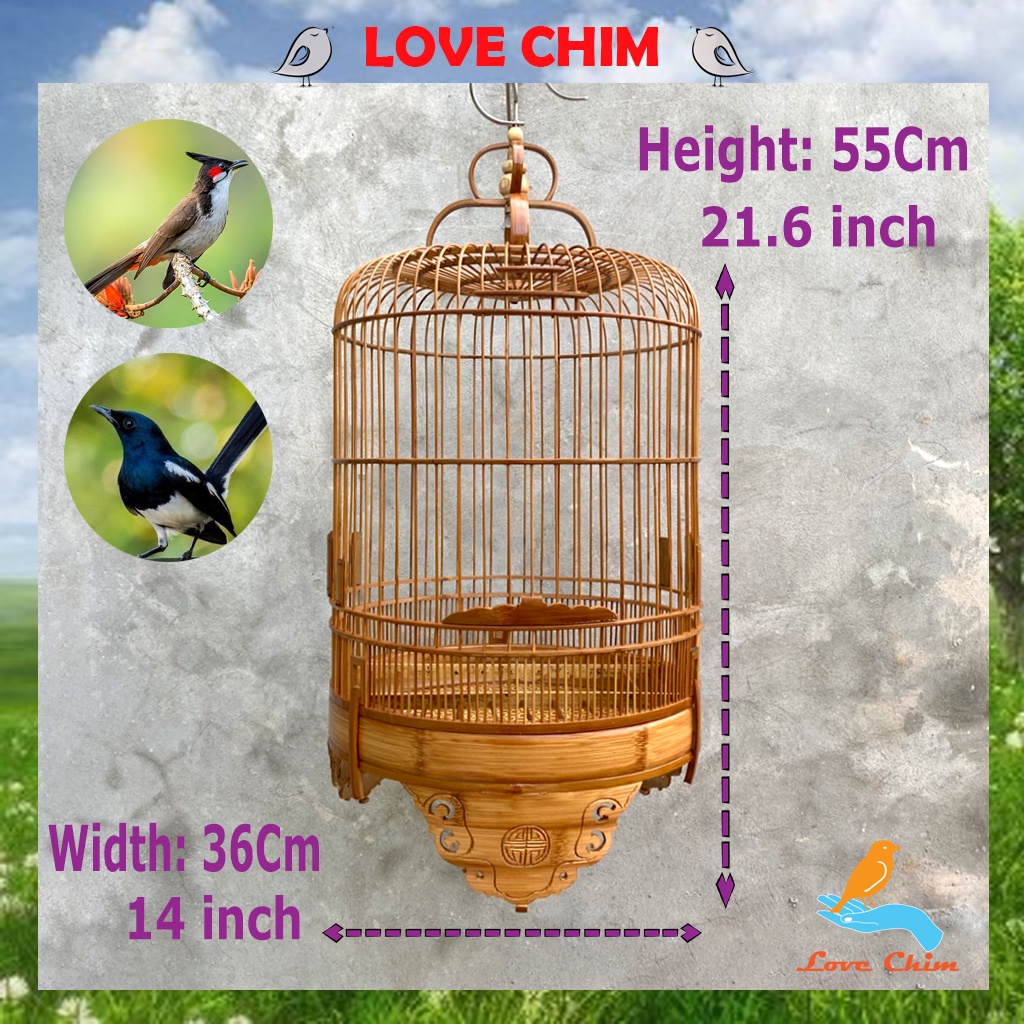 Lồng chim chào mào, chim Chòe Than, chim Chích Chòe, Lồng Chào Mào - Chòe Than đẹp LOVECHIM