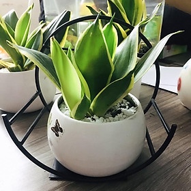 COMBO 10 Giỏ hoa bán nguyệt Chi An -Sơn chống gỉ 5 lớp-Thiết kế tinh tế, sang trọng - Đổi trả dễ; dàng