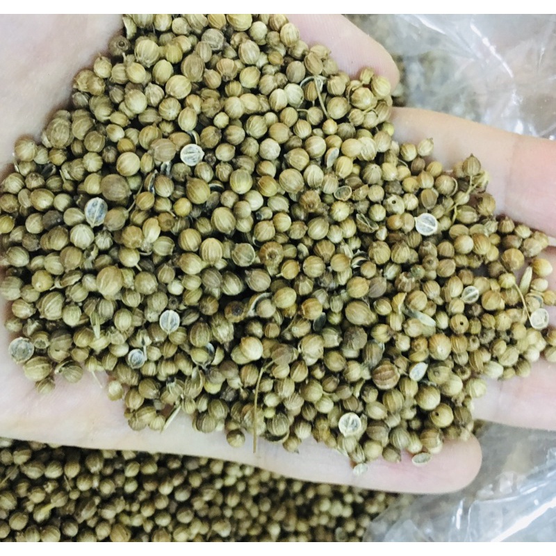 1kg HẠT NGÒ KHÔ/ HẠT MÙI KHÔ - dùng nấu phở, nấu sâm