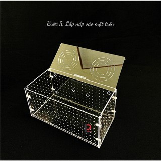 Lồng dưỡng/ box tép cá mica hít kính
