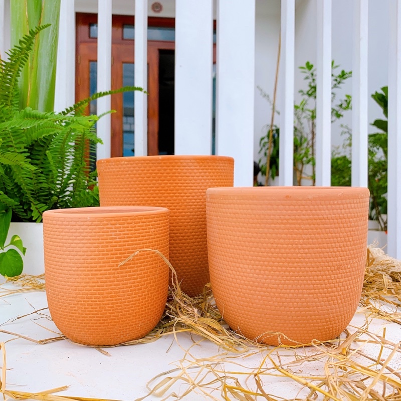 Chậu đất nung trồng cây vân nổi đủ size