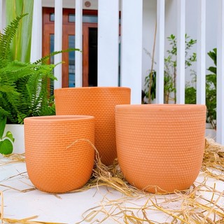 Chậu đất nung trồng cây vân nổi đủ size