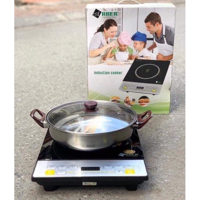 Bếp từ đơn Arber
