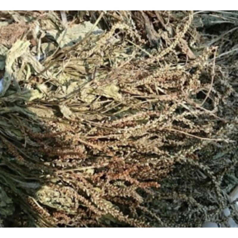 1kg Bông mã đề khô loại 1, thơm mới thu hoạch