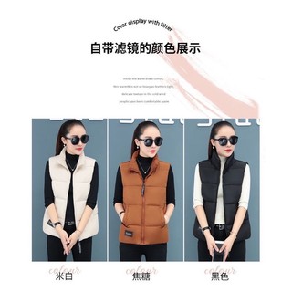 Áo gile nữ ( giá huỷ diệt)