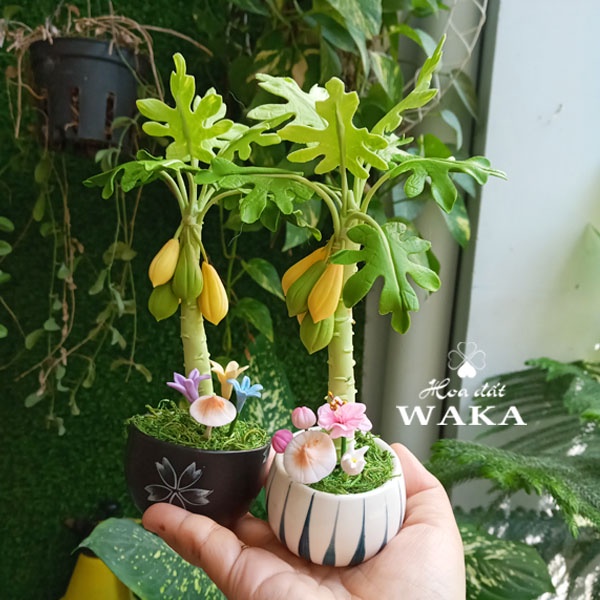 Hoa Đất Sét Mini - Cây Đu Đủ